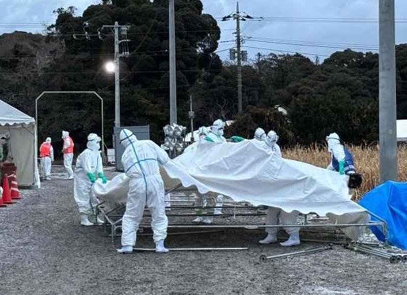 鳥インフルエンザが発生した銚子市の養鶏場で防疫作業に当たる県職員＝１２日（県提供）

