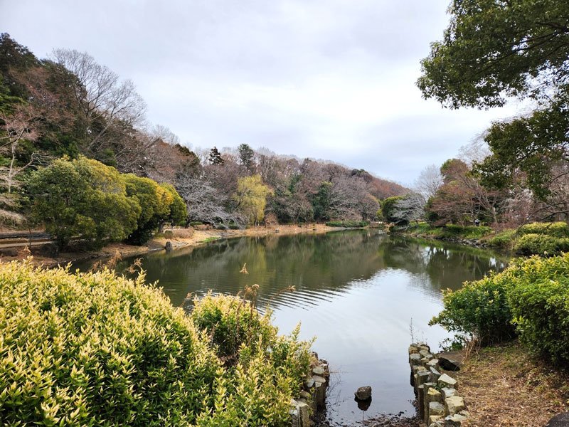 じゅん菜池緑地