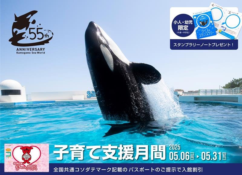 （鴨川シーワールド提供）