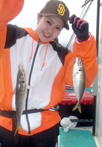 保田沖で釣り上げたアジ（写真は「村井丸」提供）
