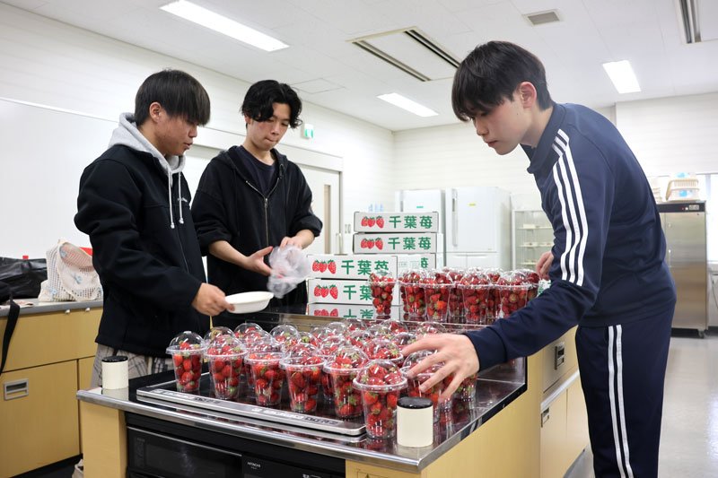 イチゴ栽培、課題解決へ　城西国際大生がプロジェクト　収穫協力、規格外を販売