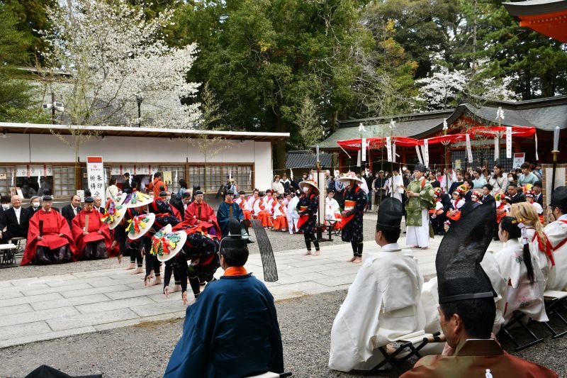 五穀豊穣を願い行われた香取神宮の御田植祭。写真は地元女性の「早乙女手代」による植え初め行事＝５日、香取市の香取神宮