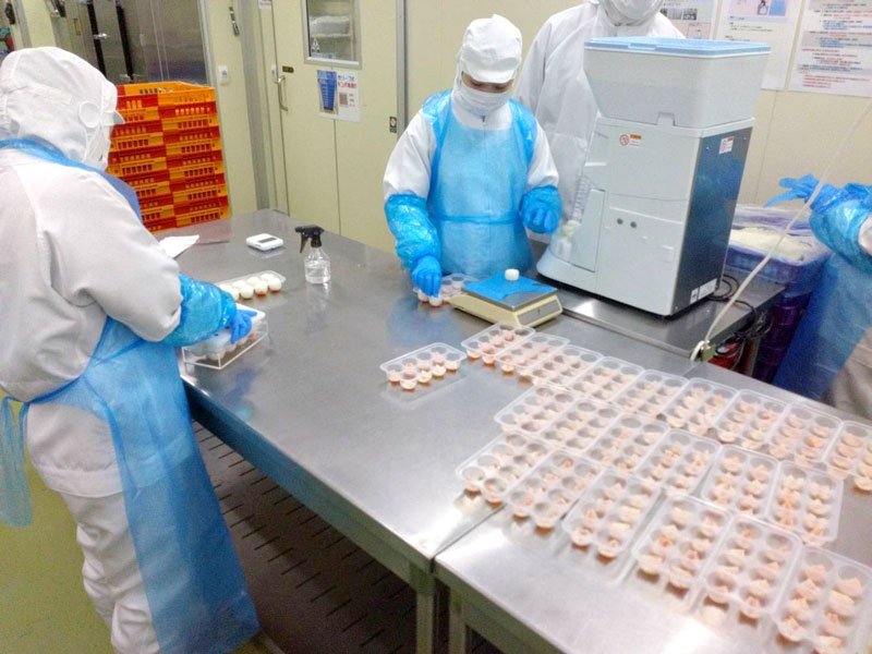 冷凍手まり寿司を製造するマックス食品工業の社員ら（同工業提供）
