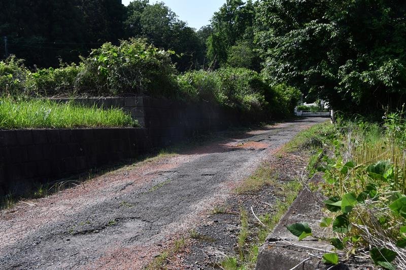草が生い茂る住宅地内の区画。舗装は傷んでいる

