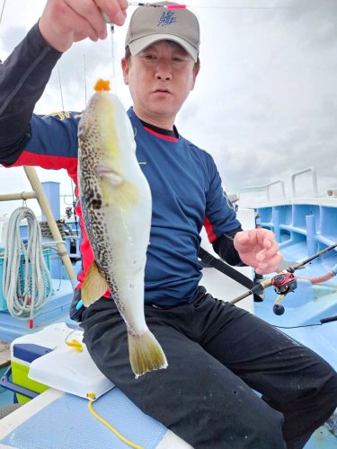 房総、キハダ狙える　木更津、シロギス好釣　【今週の釣果】