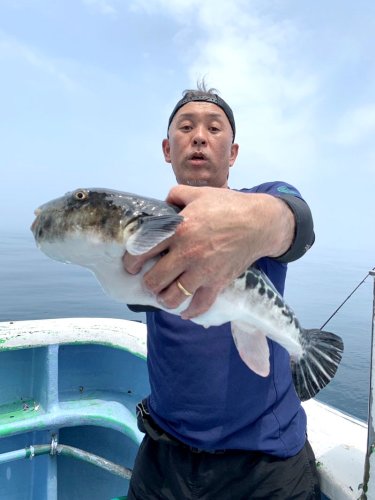 江見鴨川スルメイカ好釣　保田、第二海堡アジ安定　【今週の釣果】
