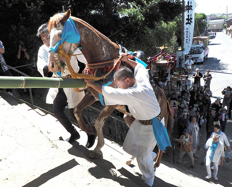 石段を一気に駆け上がる「神馬」＝２０日、君津市