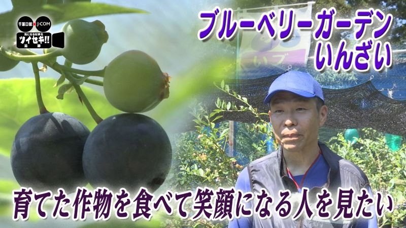 気になるあの記事を「ツイセキ！！」