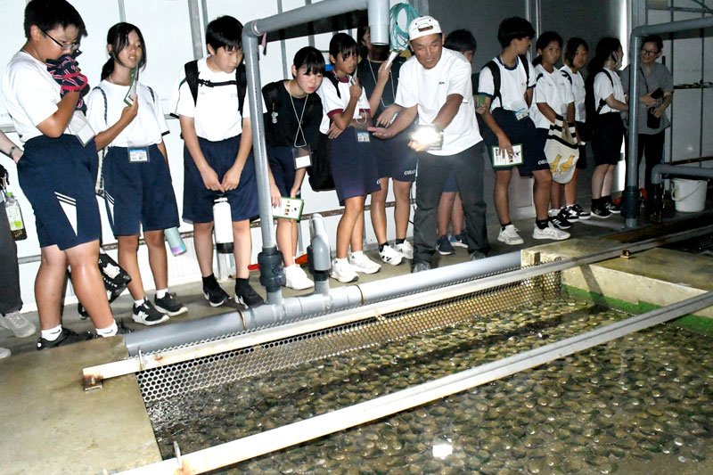 アワビの陸上養殖施設を見学する中学生ら＝いすみ市
