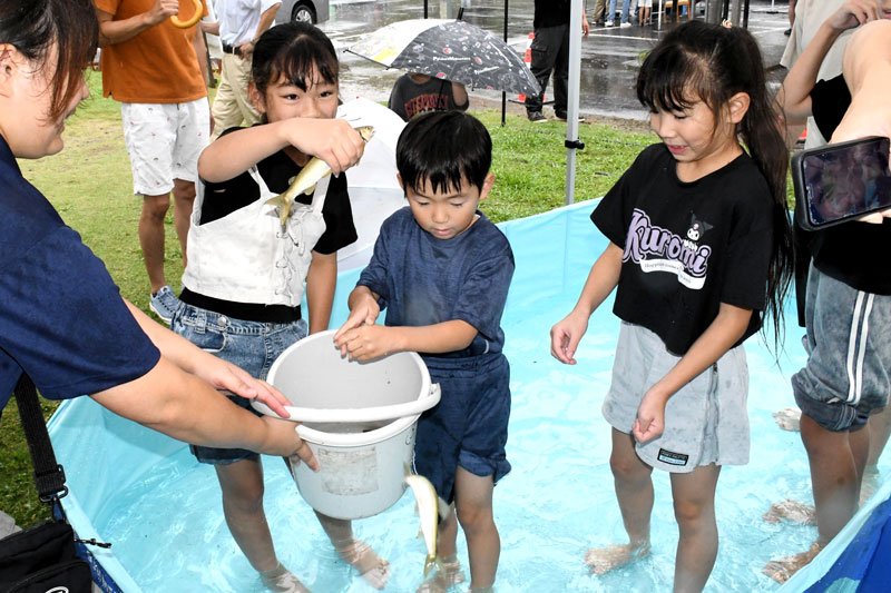 子どもたちの歓声が響いたアユのつかみ取り＝１０日、大多喜町
