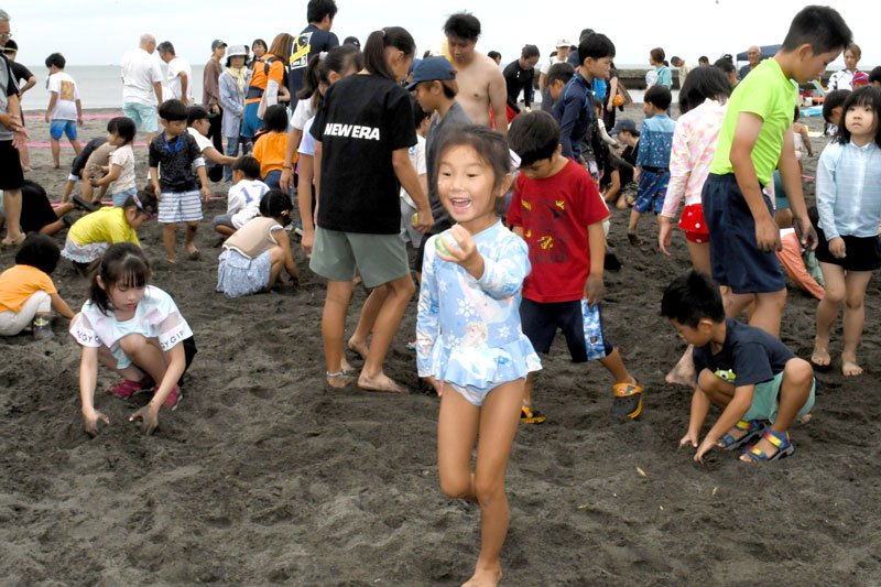 いすみ市の太東ビーチパークで１２日、宝探しイベントが開かれた。参加した家族連れらは砂浜に埋まったカプセルを探し、景品と交換。夏休みの恒例行事を楽しんだ