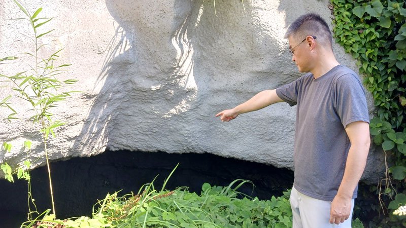 八幡岬の崖沿いに残る海軍部隊の１２センチ砲の格納壕。洞窟のようになっているという＝勝浦市