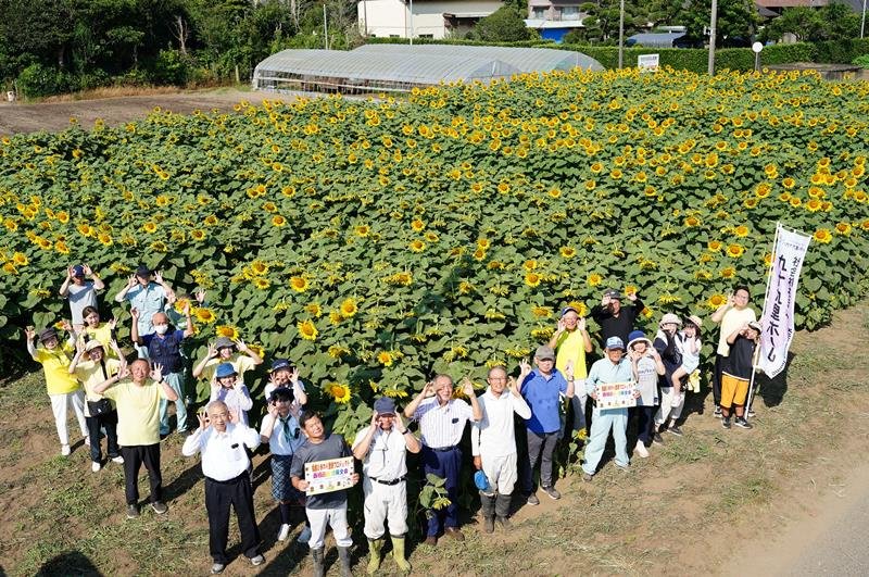 満開のヒマワリと記念撮影する地元関係団体のメンバーら＝２０日、匝瑳市
