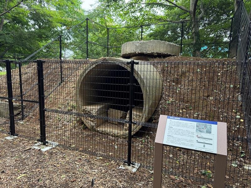 ５月からこんぶくろ池自然博物公園内で一般公開されている「秋水」の燃料庫跡。燃料庫本体の長さは約２・５メートルだが、当時は８本のヒューム管が連結され、全長２０メートルあったと推測される＝柏市
