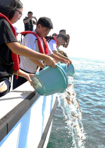 いすみ市の大原漁港沖で、地元の中学生がマダイの稚魚放流に挑戦した。ふ化から３カ月が経過した約１５００匹を広い海に放ち、「つくり育てる漁業」への理解を深めた＝１８日