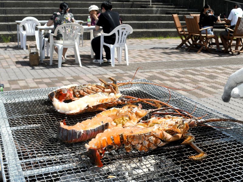 直売で購入して豪快にバーベキューでいただける伊勢エビ＝１３日、御宿町