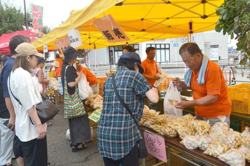 生産日本一、味もＰＲ　旬到来、試食や即売会　八街「落花生まつり」