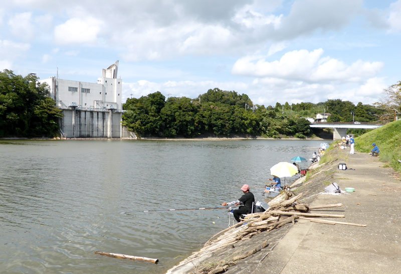 ヘラブナ釣り大会が開かれた高滝湖＝２８日、市原市
