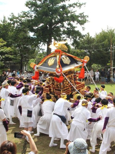 神輿を激しく揺さぶるねじり鉢巻きの若者ら＝１３日、館山市