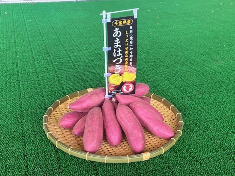 甘～い「あまはづき」ＰＲ　サツマイモ新品種　ＪＡちばみどり、焼き芋で振る舞う　銚子