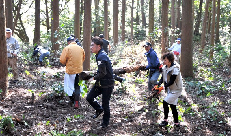 木の枝や倒木を取り除き、城跡を整備する参加者ら＝昨年１１月、多古町