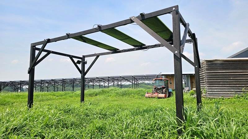 畑の上で太陽光発電　売電収入、地域に還元　ＴＥＲＲＡ（匝瑳市）　【ちばの元気企業】