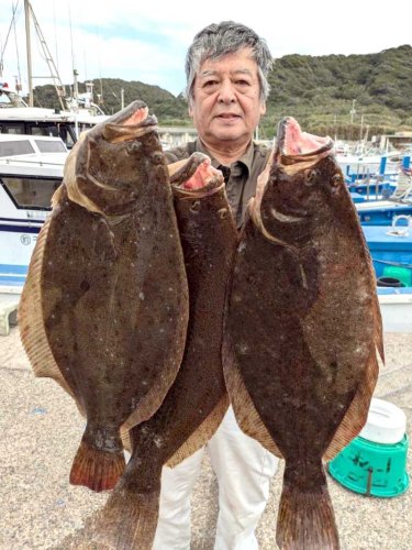 相模湾マグロカツオ食い良し　川崎アジ、ダブル多数　【今週の釣果】