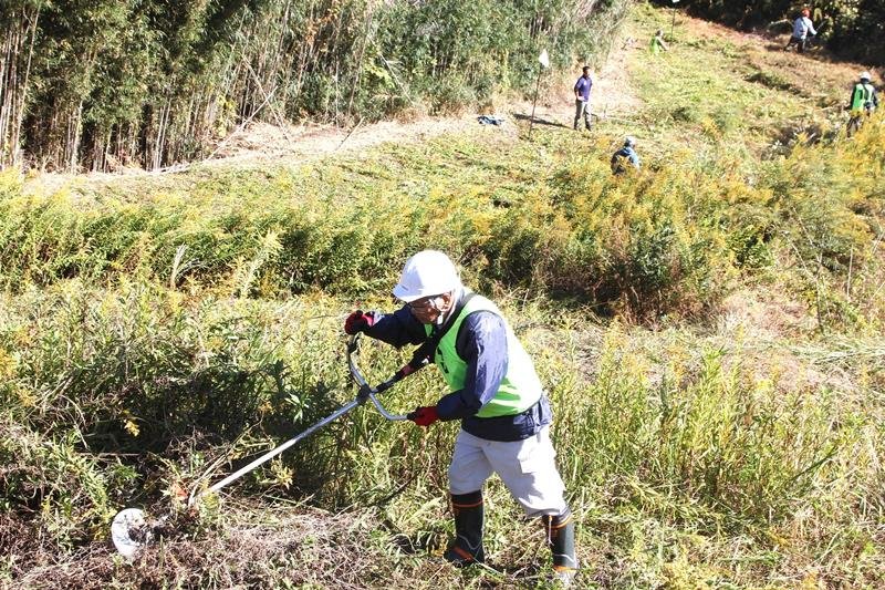 「ＢＯＳＯ草刈りサミット」で草を刈る参加者ら＝鴨川市
