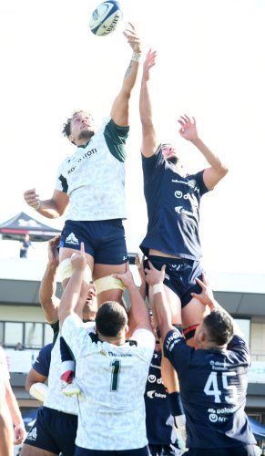 浦安―東葛　後半、ラインアウトで競り合う両チームの選手ら＝浦安Ｄパーク