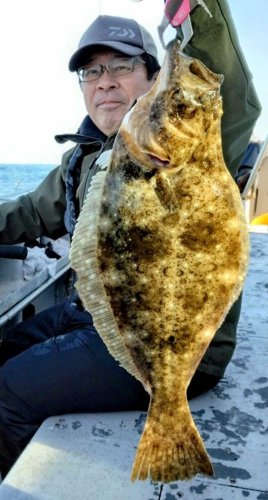 洲崎南、クロムツ入れ食い　川崎、木更津アジ好活性　【今週の釣果】