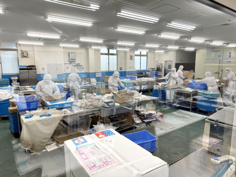 未利用魚を有効活用　「ボラフライ」給食にも　匠水産（柏市）　【ちばの元気企業】