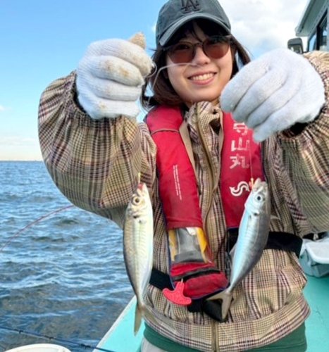 木更津沖で釣り上げたアジ（写真は「守山丸」提供）