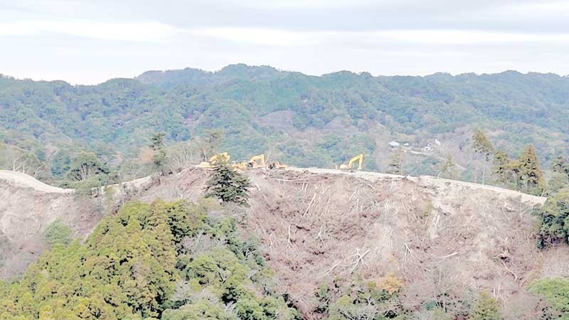 樹木を伐採して土地を造成する作業が一時停止となっているメガソーラー建設予定地＝１３日、鴨川市（市民団体提供）