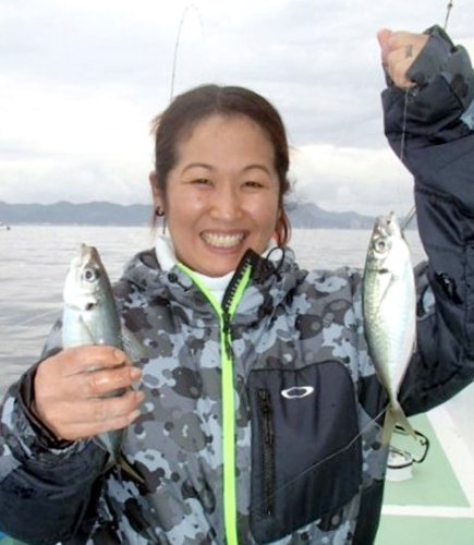 保田沖で釣り上げたアジ（写真は「村井丸」提供）