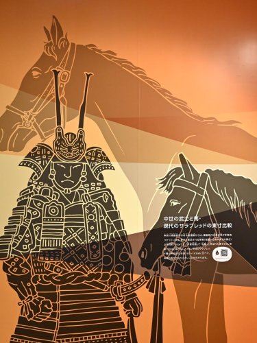 武士支えた小さき体　千葉市立郷土博物館　名産地の房総、幕府に献上　【房総うま物語】（２）