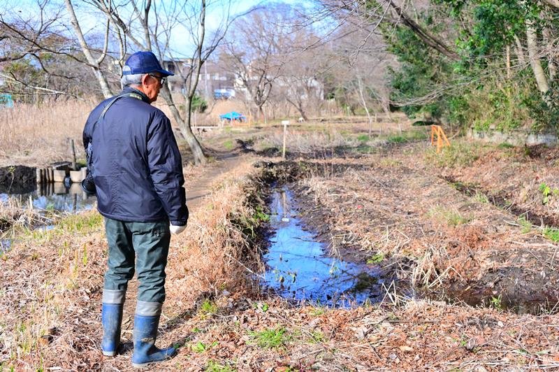 多様な生物育む坂月川　「愛好会」美化続け２５年　国の自然共生サイト認定も　千葉市若葉区
