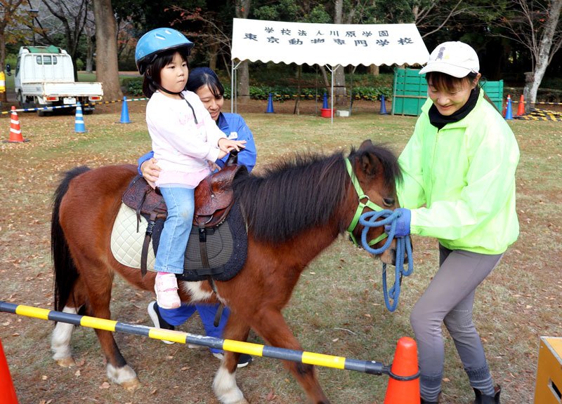 馬に関するイベントでポニーに乗る女の子＝富里市