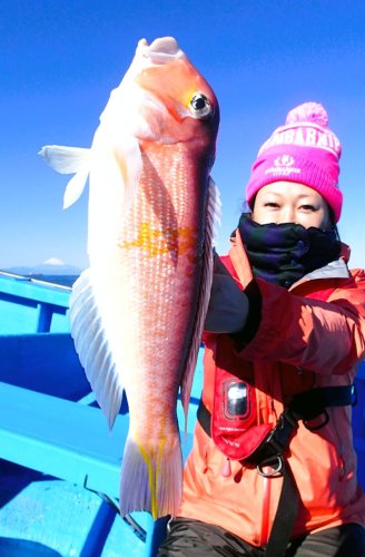 平砂浦イカ好調　観音崎、走水タチウオ狙える　【今週の釣果】