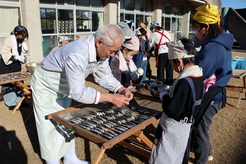 名物めざし「おいしい」　保護者と加工、天日干し　九十九里小