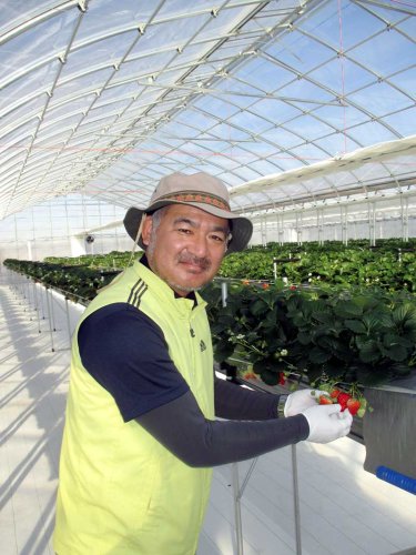 菊地代表と農園の様子