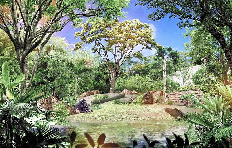 暮らし魅せる空間に　千葉市動物公園、開園５０周年へ３エリア整備　ハシビロコウ、アジア初繁殖目指す
