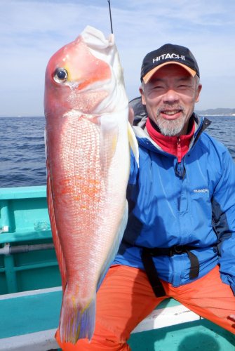 木更津シロギス好釣　保田本牧アジ食い活発　【今週の釣果】