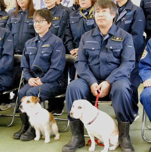 嘱託警察犬に任命されたメリアちゃんと訓練士の塩沢さん（左）、はなちゃんと朝重さん＝２０日、成田市三里塚光ケ丘の県警直轄警察犬訓練所
