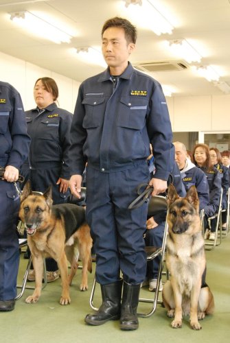 民間警察犬に初の小型犬　千葉県警５２匹任命、ビーグルも