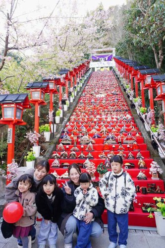 【写真多数あり】かつうらビッグひな祭り開幕　石段飾り、華やかに　市内各所に２万５０００体、来場者魅了