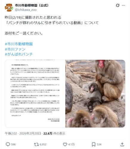 市川市動植物園がＸに投稿したパンチの動画に対する説明文（公式Ｘより）