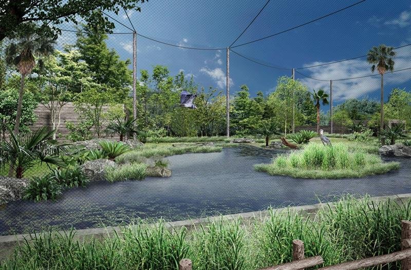 じっと、しずかに、待っててね　千葉市動物公園ハシビロコウ　湿原ゾーン整備で展示休止