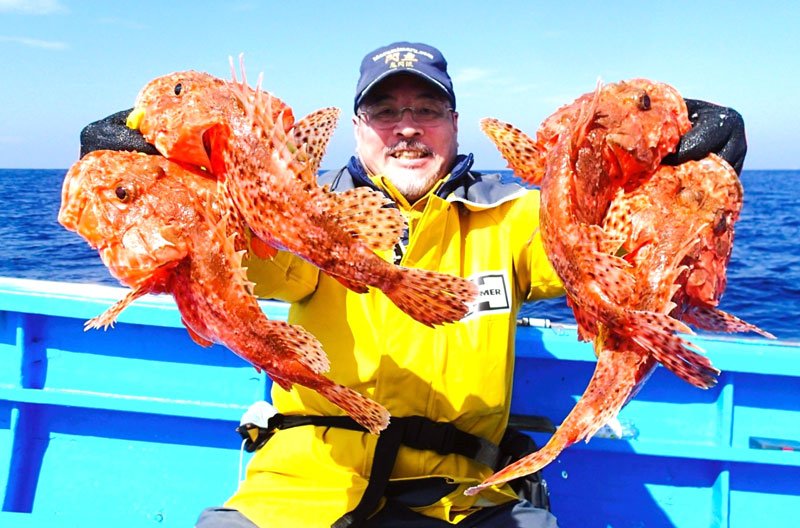館山沖で釣り上げたオニカサゴ（写真は「真澄丸」提供）
