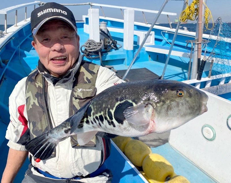 大貫沖で釣り上げたトラフグ（写真は「萬栄丸」提供）