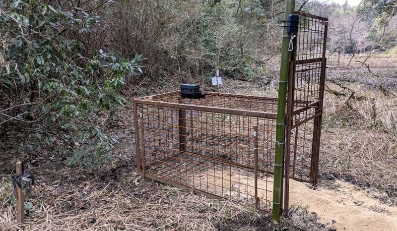有害鳥獣がかかったことを検知するセンサー付きの箱わな（富里市提供）
